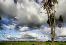 天涯社区和天涯论坛：一个网上的大家庭