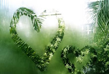 天涯社区国际：全球华人的情感港湾，你了解吗？